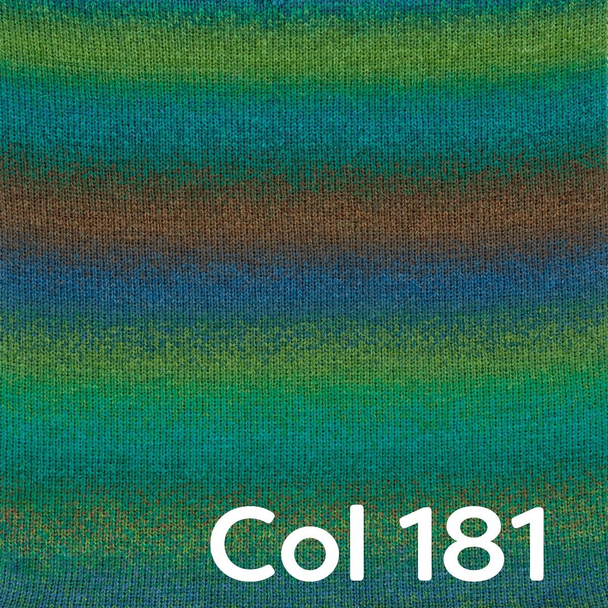 Miniatura 11