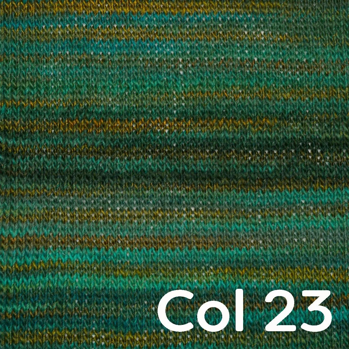 Miniatura 24