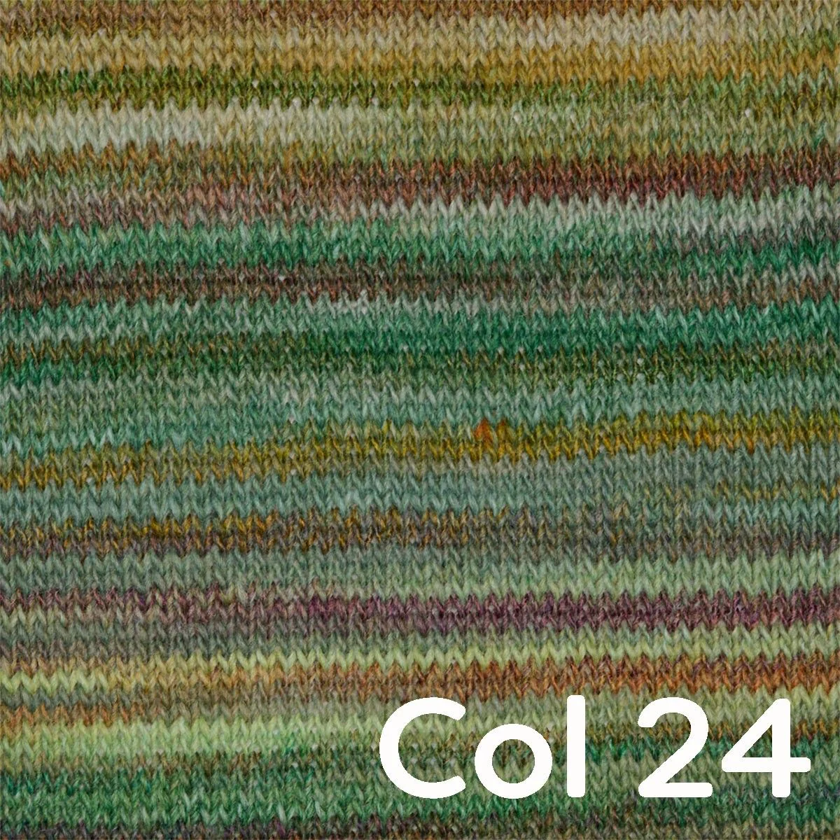 Miniatura 25