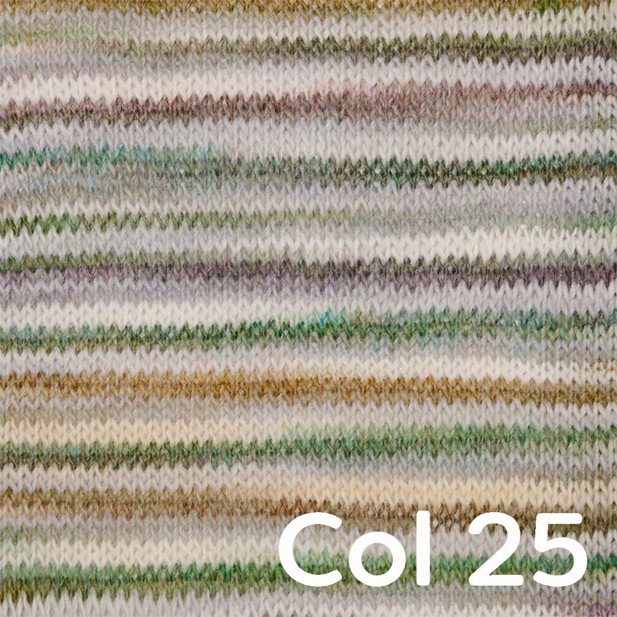 Miniatura 26
