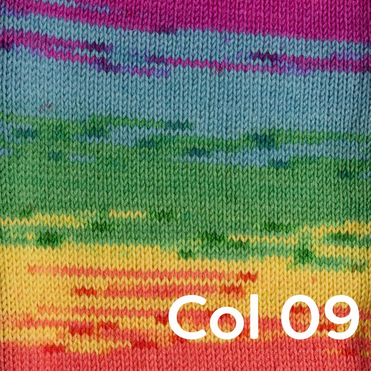 Miniatura 11