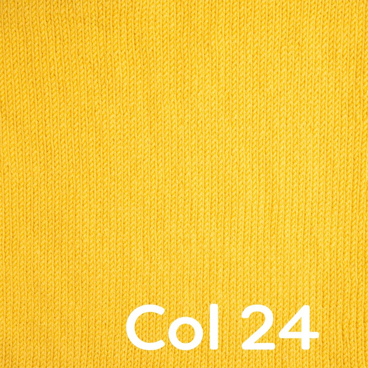 Miniatura 11