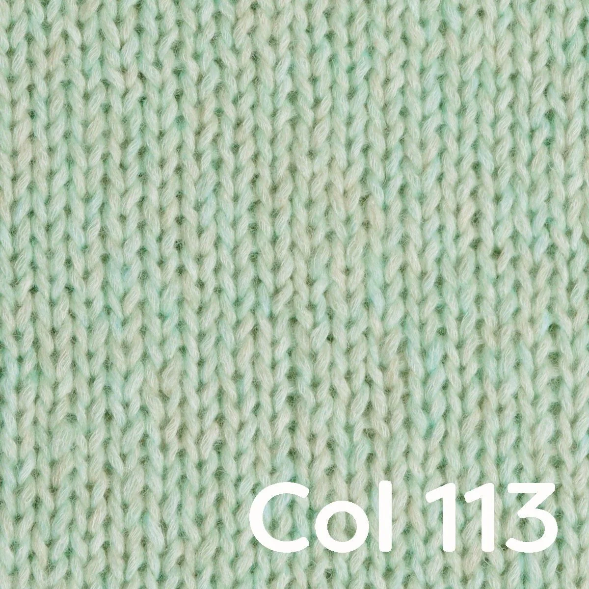 Miniatura 21