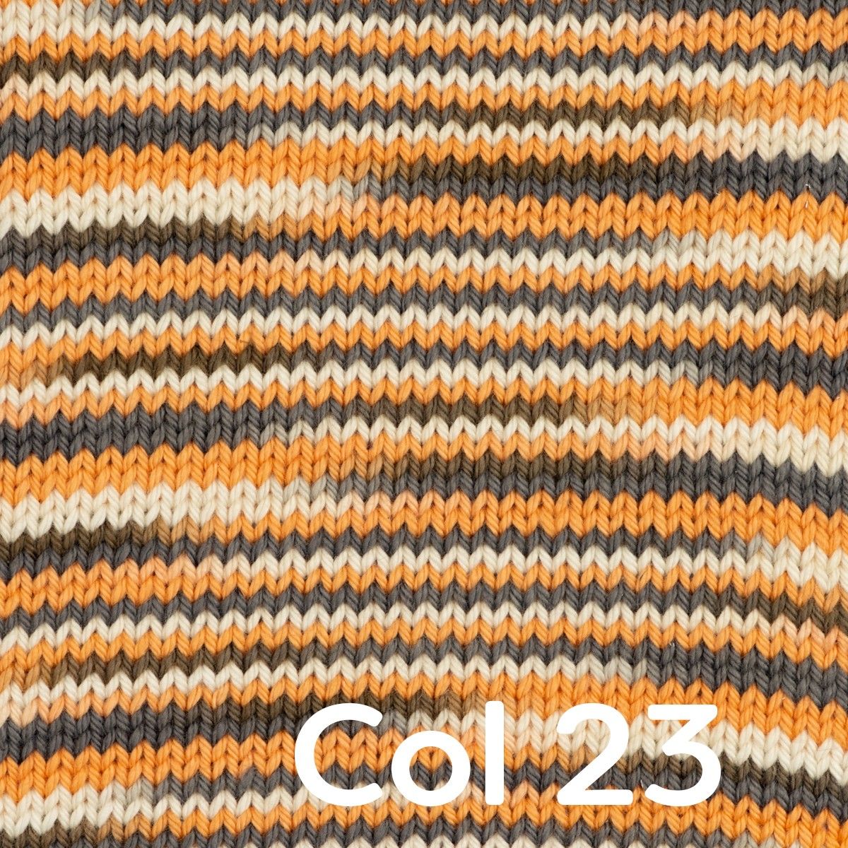 Miniatura 24