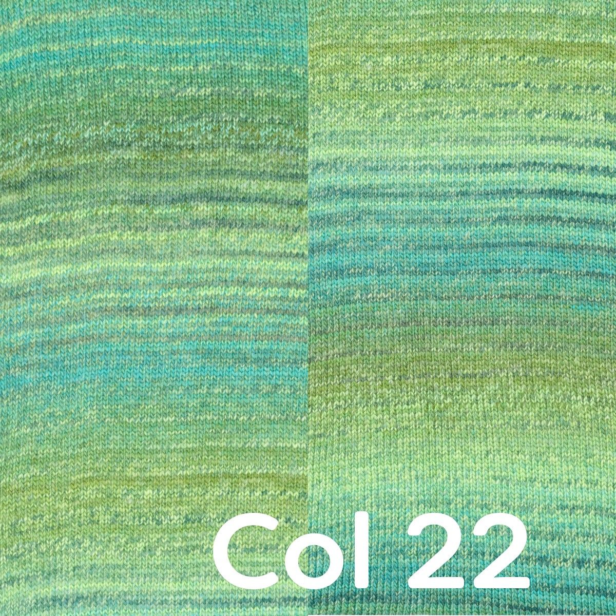 Miniatura 24