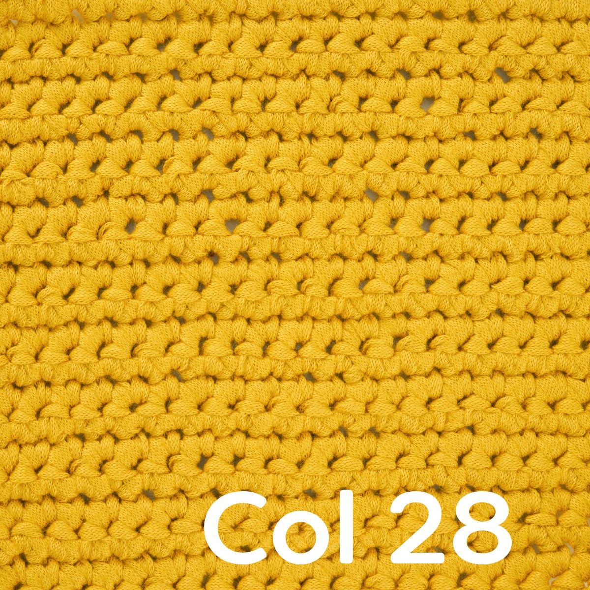Miniatura 13