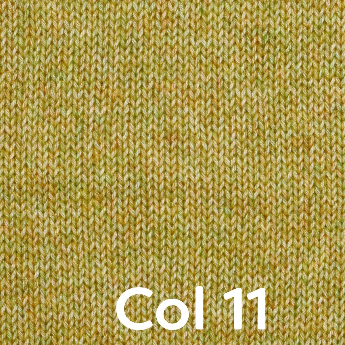 Miniatura 12
