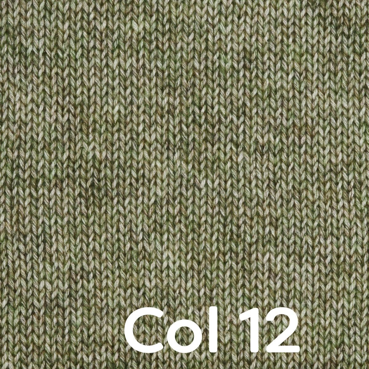 Miniatura 13
