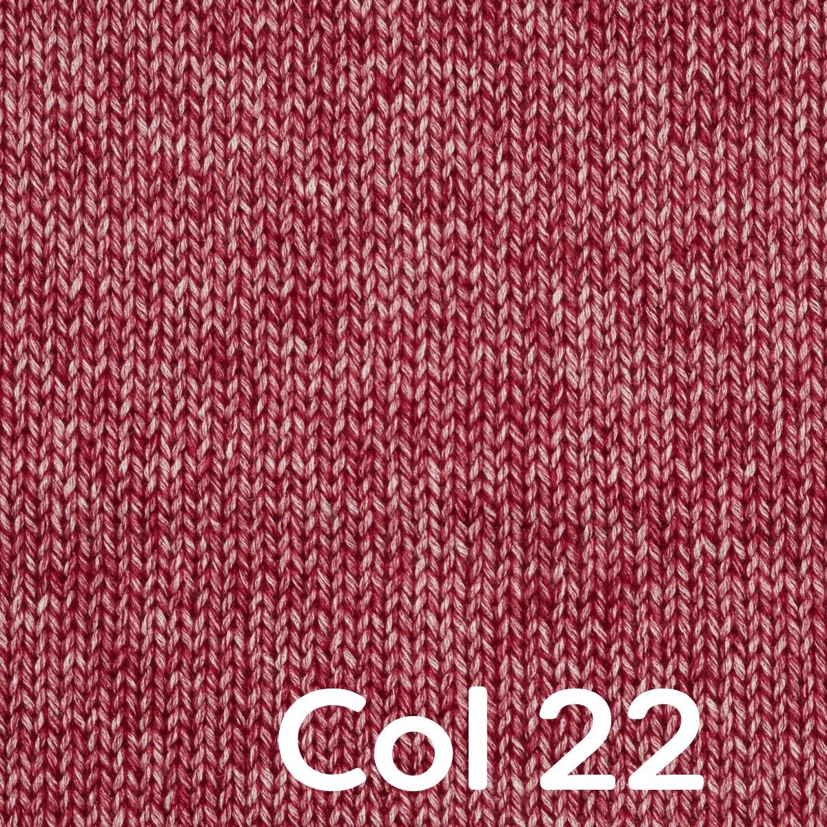 Miniatura 22
