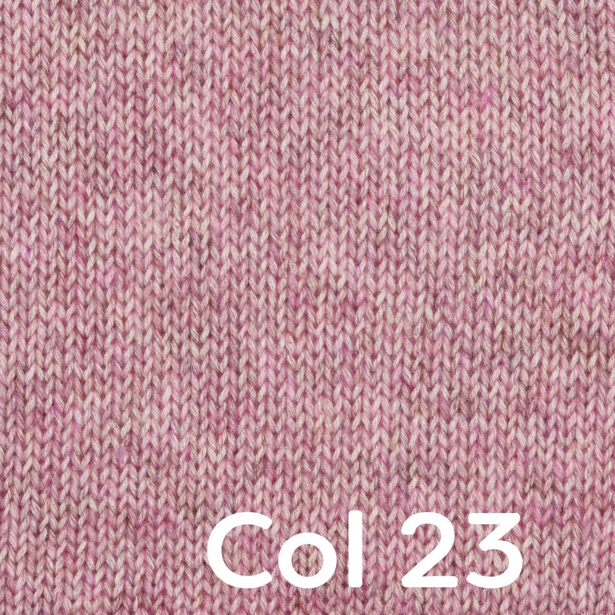 Miniatura 23