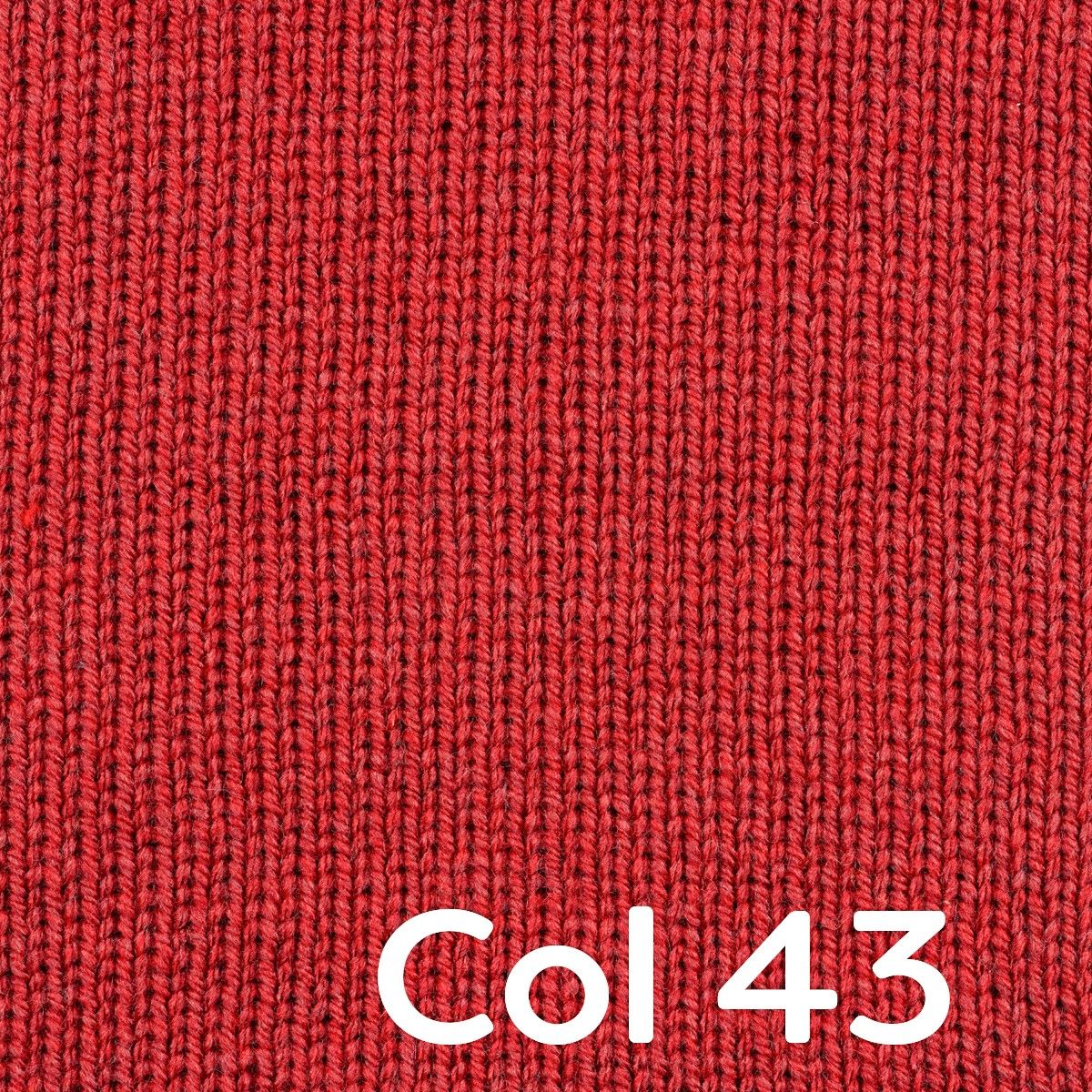 Miniatura 13